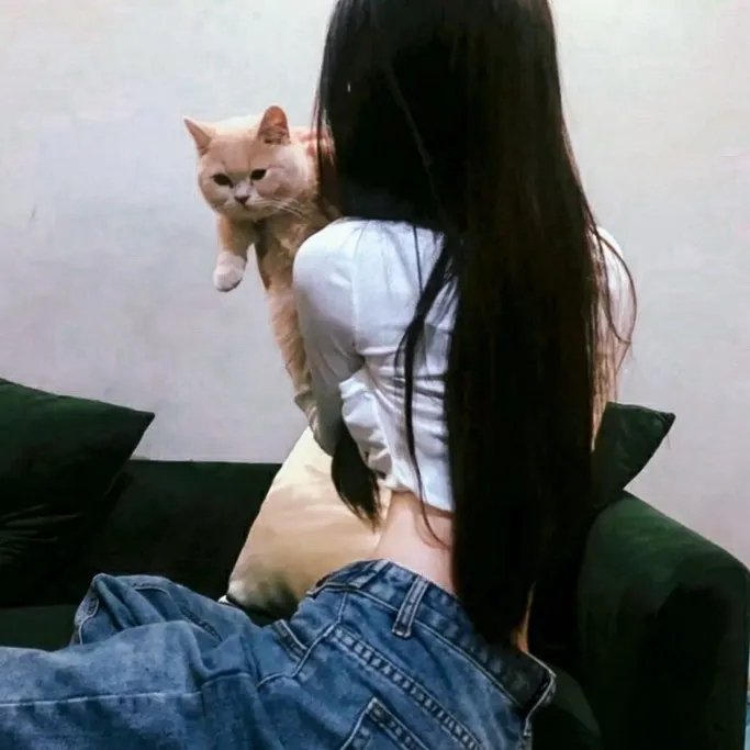 终极拦截战